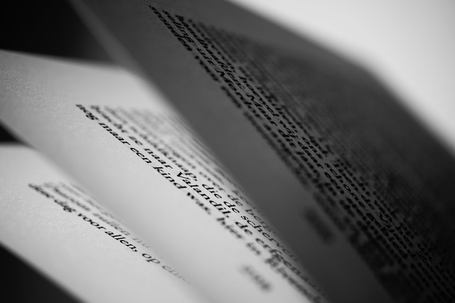 flipbook flipbook